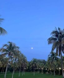 Waterfront Key (D16), Condominium #501279381